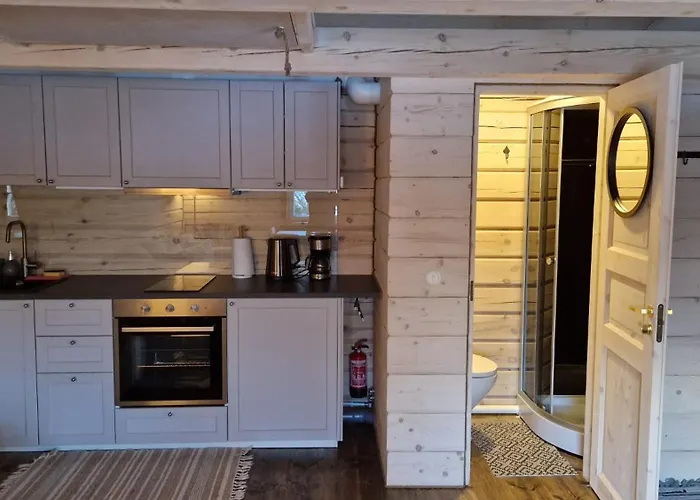 Leeotsa Talu Ait 펜션 Kasispea